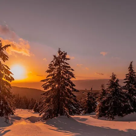 Gorskie Chatki Krysi I Piotrka Bursztynowy Ferienhaus *