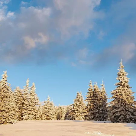 Gorskie Chatki Krysi I Piotrka Bursztynowy * Stronie Śląskie
