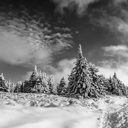 Gorskie Chatki Krysi I Piotrka Bursztynowy
