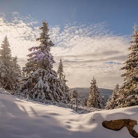 Gorskie Chatki Krysi I Piotrka Bursztynowy *