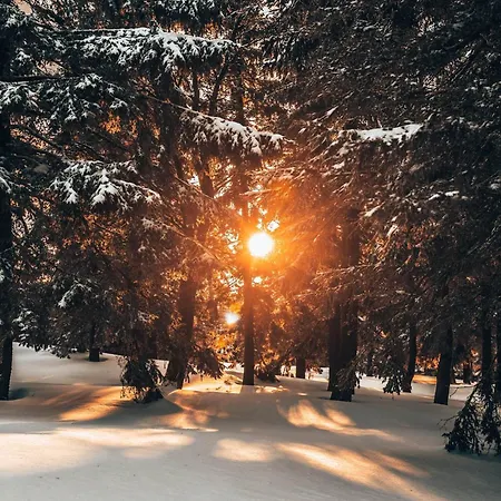Ferienhaus Gorskie Chatki Krysi I Piotrka Bursztynowy
