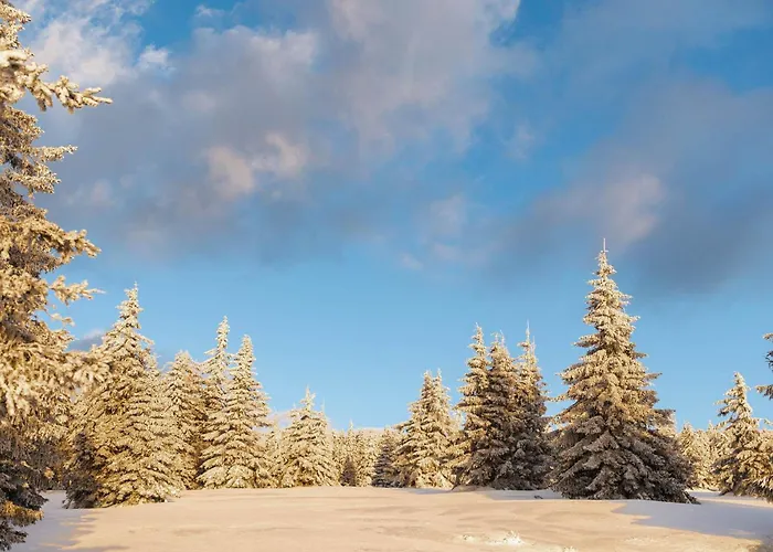Górskie Chatki Krysi I Piotrka Bursztynowy * Stronie Śląskie