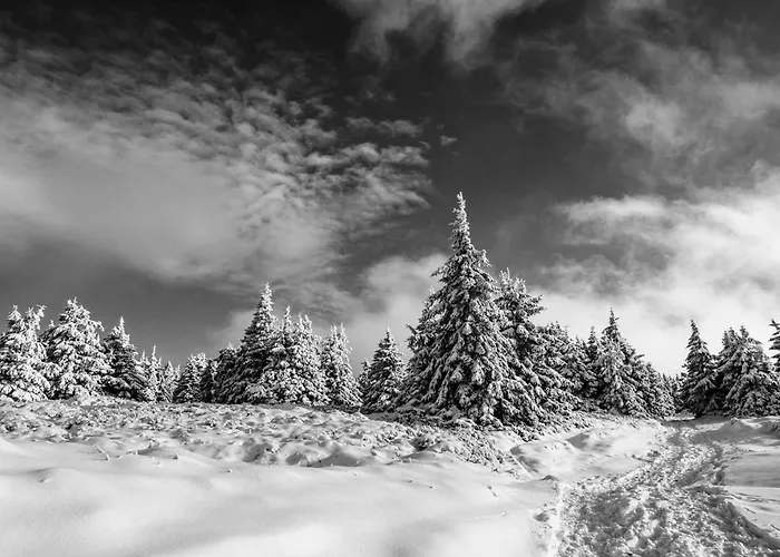 Górskie Chatki Krysi I Piotrka Bursztynowy