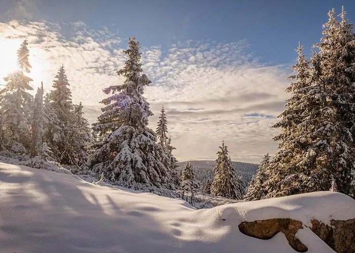 Górskie Chatki Krysi I Piotrka Bursztynowy *