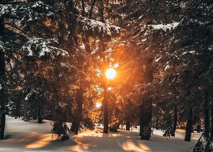Dom wakacyjny Górskie Chatki Krysi I Piotrka Bursztynowy
